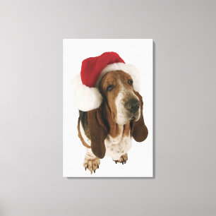 Basset hond in Santa hat Canvas Afdruk