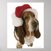 Basset hond in Santa hat Poster (Voorkant)