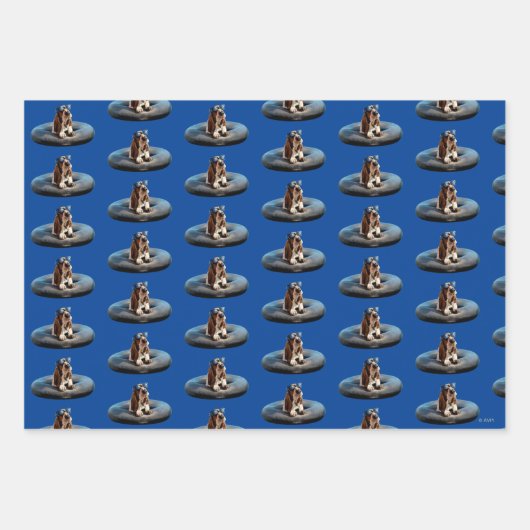 Basset Hond in zonnebril Inpakpapier Vel (Voorkant)