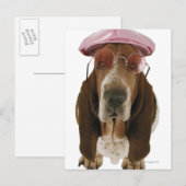 Basset hond in zonnebrillen en pet briefkaart (Voorkant / Achterkant)
