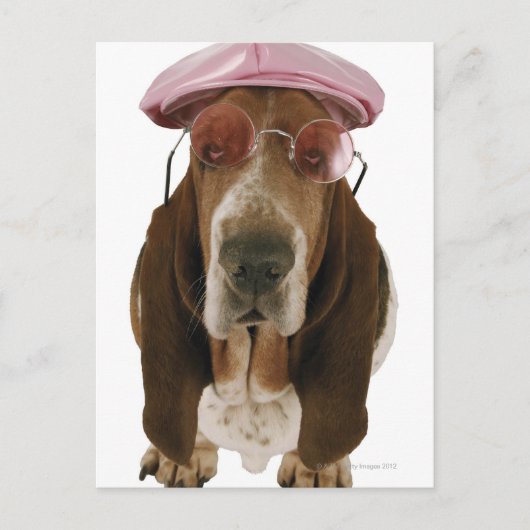 Basset hond in zonnebrillen en pet briefkaart (Voorkant)