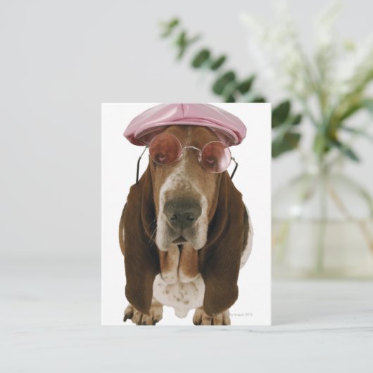 Basset hond in zonnebrillen en pet briefkaart (Staand voorkant)
