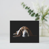 Basset Hond ligt beneden Briefkaart (Staand voorkant)