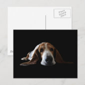 Basset Hond ligt beneden Briefkaart (Voorkant / Achterkant)