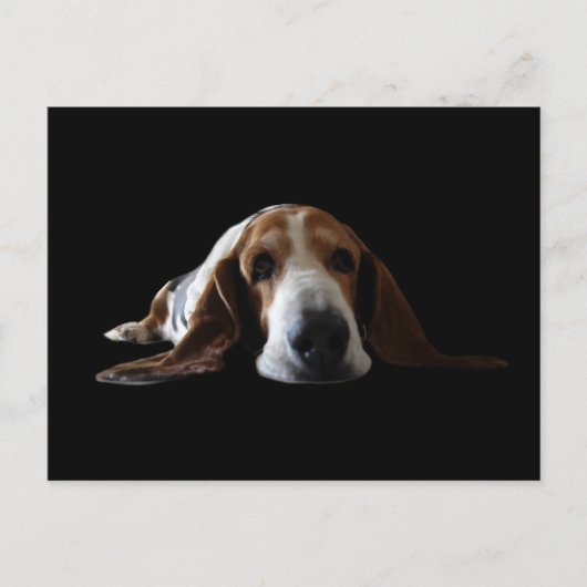 Basset Hond ligt beneden Briefkaart (Voorkant)