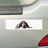 Basset Hond ligt beneden Bumpersticker (Op auto)