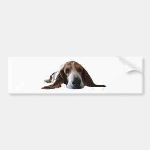 Basset Hond ligt beneden Bumpersticker