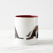 Basset Hond ligt beneden Tweekleurige Koffiemok (Center)