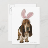 Basset hond met bunny-oren briefkaart (Voorkant / Achterkant)