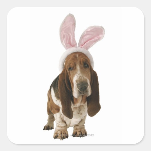 Basset hond met bunny-oren vierkante sticker (Voorkant)