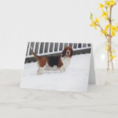 "Basset Honden in het Wilde" reekswenskaart Kaart (Gele Bloem)