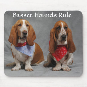 Basset Honden Regeren Het Dragen Van Bandana's Mui Muismat