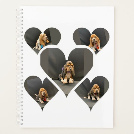 Basset hondpuppy organizer (Voorkant)