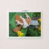 Basset hondpuppy puzzel (Horizontaal)