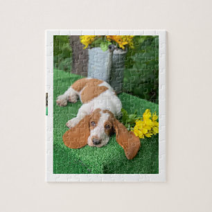 Basset hondpuppy puzzel legpuzzel