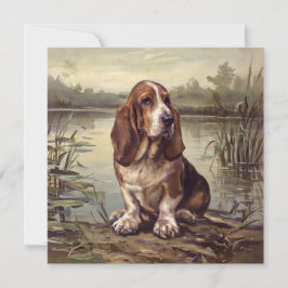Basset Hound