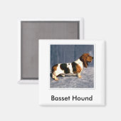 basset_hound 2, Basset Hound Magneet (Voorkant / Achterkant)