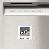 basset_hound 2, Basset Hound Magneet (Insitu (Vaatwasser))