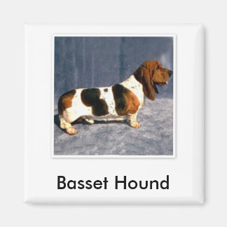 basset_hound 2, Basset Hound Magneet