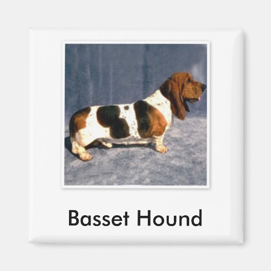 basset_hound 2, Basset Hound Magneet (Voorkant)