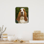 Basset Hound 9L9D-22_2 Poster (Keuken)
