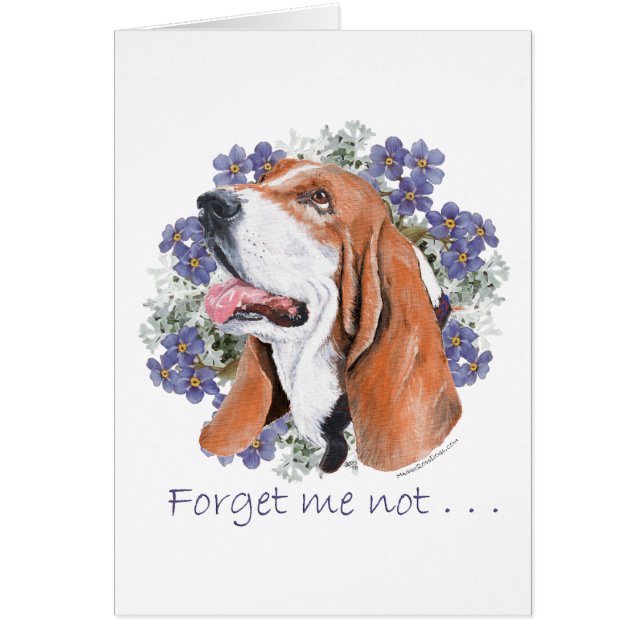 Basset Hound Aandenken (Voorkant)