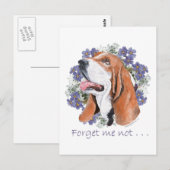 Basset Hound Aandenken Briefkaart (Voorkant / Achterkant)