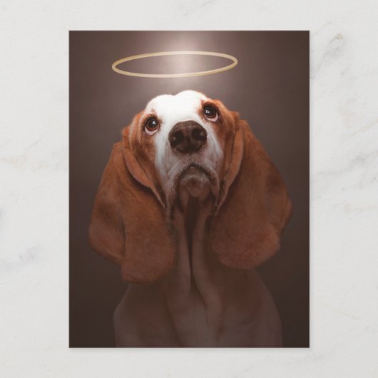Basset Hound Angel Briefkaart (Voorkant)