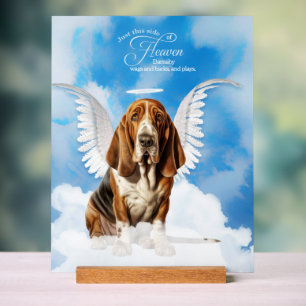 Basset Hound Angel Dog Naam Huisdier Memorial Acryl Bord