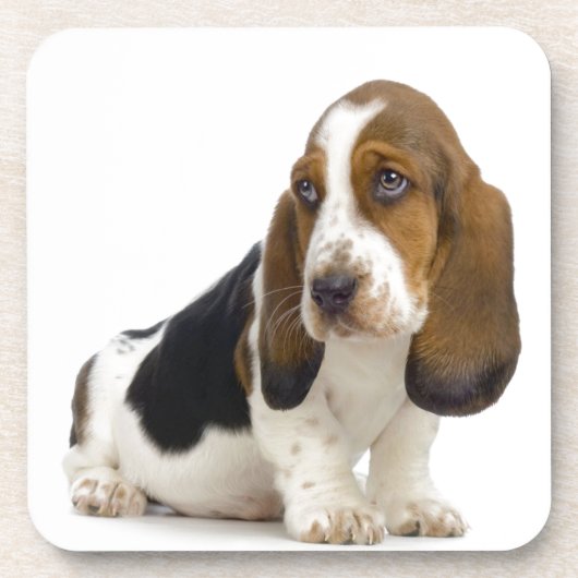 Basset Hound Bier Onderzetter (Voorkant)