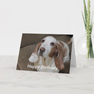 Basset Hound Birthday-kaart Kaart