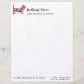 Basset Hound Briefhoofd (Voorkant)