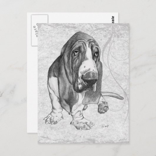 Basset Hound Briefkaart (Voorkant / Achterkant)