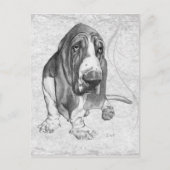 Basset Hound Briefkaart (Voorkant)
