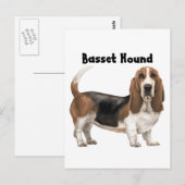 Basset Hound Briefkaart (Voorkant / Achterkant)