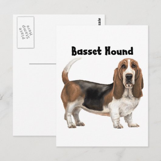 Basset Hound Briefkaart (Voorkant / Achterkant)