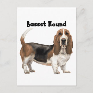 Basset Hound Briefkaart