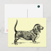 Basset_Hound Briefkaart (Voorkant / Achterkant)