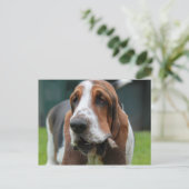 Basset Hound Briefkaart (Staand voorkant)