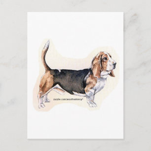 Basset Hound Briefkaart