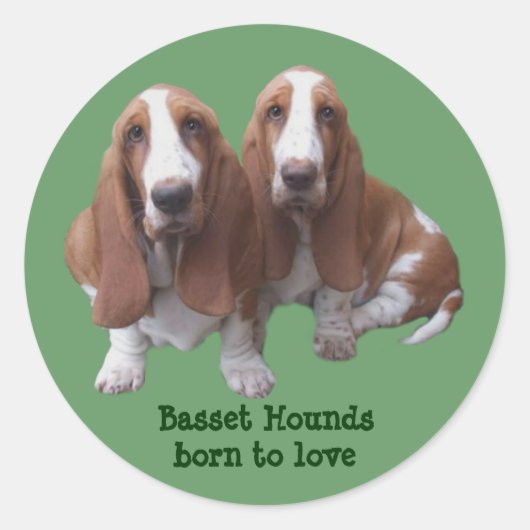 Basset Hound Buddies Sticker (Voorkant)