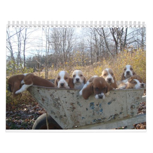 Basset hound Calendar Kalender (Hoes)