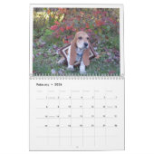 Basset hound Calendar Kalender (Feb 2026)