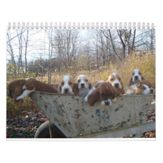 Basset hound Calendar Kalender