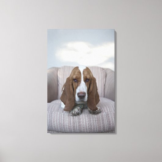 Basset Hound Canvas Afdruk (Voorkant)