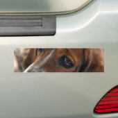 Basset Hound Design-Bumperstickers Bumpersticker (Op auto)