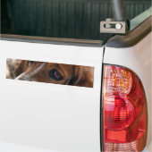 Basset Hound Design-Bumperstickers Bumpersticker (Op Truck)