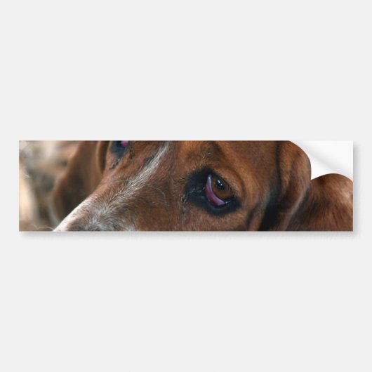 Basset Hound Design-Bumperstickers Bumpersticker (Voorkant)