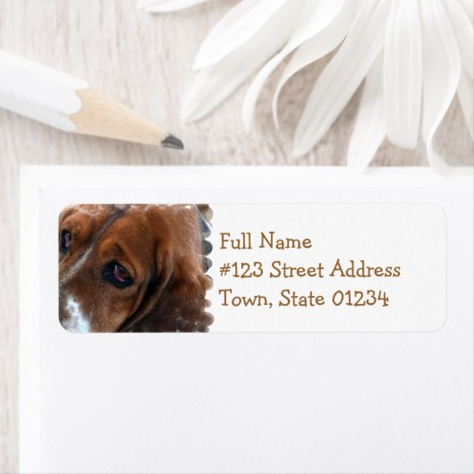 Basset Hound Design Mailing Label (Insitu)