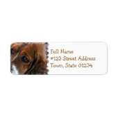 Basset Hound Design Mailing Label (Voorkant)